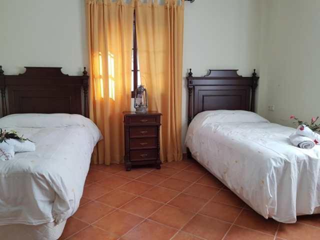 Vila Vivienda Rural Casa Sofia Ubrique Exteriér fotografie